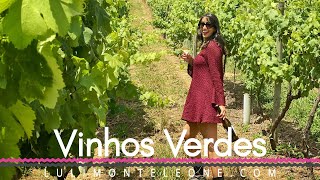 Enoturismo Vinho Verde 🍷 Wine Tourism in Portugal [upl. by Queenie]