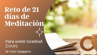 DÍA 5 RETO de 21 días de MEDITACIÓN para SENTIR GRATITUD de las enseñanzas del DR JOE DISPENZA [upl. by Sparrow]