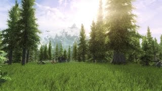 Skyrim SE Most Realistic GraphicsImmersive Mods Xbox One February 2017 [upl. by Melburn]