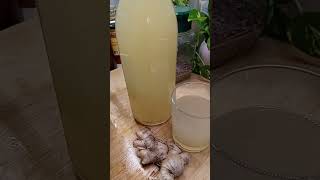 Ginger beer mady by nanny the cook [upl. by Gillman]