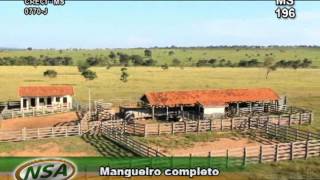 Fazenda em Três Lagoas MS 1573 HA you tubewmv [upl. by Ddart]