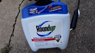 Roundup Weed amp Grass Killer Review  Does It Actually Work [upl. by Stroup793]