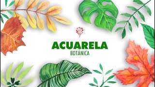 🎨 Acuarela Botánica Parte 1 Hojas  Botanical Watercolor Part1  Leaf [upl. by Elayne]