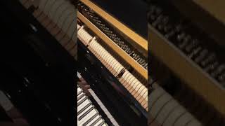 Piano droit BECHSTEIN 116 Millenium DEMO  EML Pianos [upl. by Athallia889]