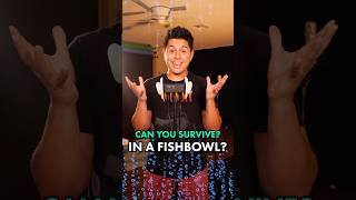 Can You Survive in a Fishbowl 👀  ASMR [upl. by Anomas]