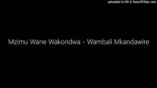 Mzimu Wane Wakondwa  Wambali Mkandawire [upl. by Marney]