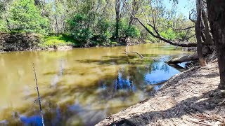 Murray Cod Fishing Exploring A New Fishing Spot [upl. by Dari]