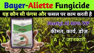 Aliette Fungicide । Fosetyl Al 80 WP । Bayer Aliette Fungicide । Bayer Best Fungicide [upl. by Rand]