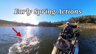 Early Spring New Hogan Lake Actions [upl. by Elkraps]