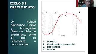 FASES DE CRECIMIENTO BACTERIANO [upl. by Nylarahs]