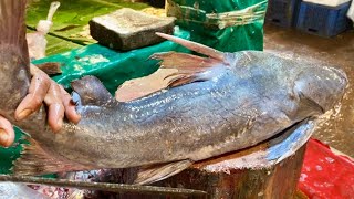 Amazing Gora Fish Perfect Cutting Skills Live Video  Quick amp Easy Tutorial [upl. by Anillek]