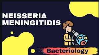 NEISSERIA MENINGITIDIS  Microbiology [upl. by Aivyls]