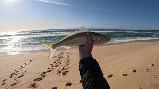 Far South Coast Beach Fishing [upl. by Anoiek]