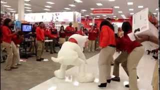 Target Mascot Cha Cha Slide With Dj Takeova [upl. by Glennie786]