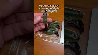 Bass colored lures TO CATCH BASS 👀👀 fishing bassfishing [upl. by Nahsab3]