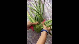 DIY KONO  Make your own basket with Harakeke NZ flax [upl. by Newcomer]