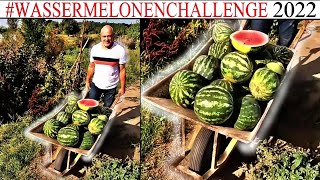 Wassermelonen anbauen WASSERMELONENCHALLENGE2022 [upl. by Arikal]