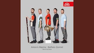 Wind Quintet No 1 E minor Op 88  Introduction Andante  Allegro ma non troppo [upl. by Akcinat]