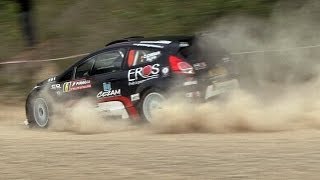 Rallye de Wallonie 2014 HD [upl. by Jim]