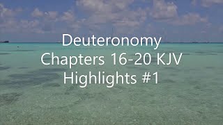 Deuteronomy Chapters 1620 KJV Highlights 1 [upl. by Llertnov]