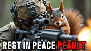 Government Kills Peanut The Squirrel amp Fred the Raccoon [upl. by Sigismundo314]