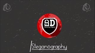 How To Perform Steganography  100 Working Method [upl. by Nnail]