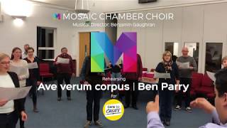 Ave Verum Corpus  Ben Parry  Mosaic Chamber Choir [upl. by Schach45]