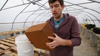 Peat Vs Coco Peat  How to Make A SIMPLE DIY Potting Mix [upl. by Amo621]