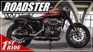 2020 Harley Roadster Review XL1200CX  Is it the best sportster 1200 Is it a beginner bike [upl. by Roseanne]