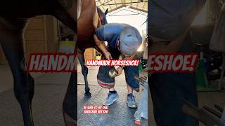 Nailing on a handmade horseshoe farrier horsecare satisfying asmr horse barrelhorse [upl. by Lothar]