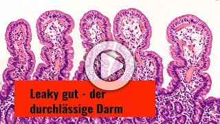 Leaky gut  der durchlässige Darm [upl. by Reisinger]