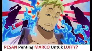 PESAN penting MARCO UNTUK LUFFY yang akan MEMBANTU MISI LUFFY di wano di anime one piece  THEORY [upl. by Asiar]