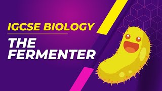 What should you know about the fermenter🦠 for the IGCSE Biology exam [upl. by Audrit237]