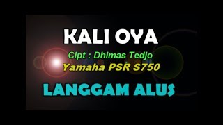 KALI OYA  KARAOKE  By Saka [upl. by Iolande]