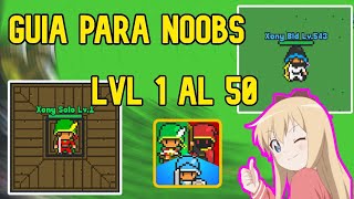 Arquero De Nivel 1 Al 50  Guia 1  Rucoy Online MMORPG 2D [upl. by Adolphe547]