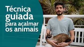 Tecnica guiada para acalmar os animais [upl. by Jobe702]