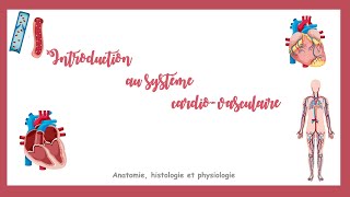 Introduction au système cardiovasculaire [upl. by Kosaka468]