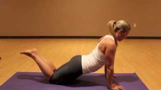 Mastering Chaturanga w Liz Nierzwicki [upl. by Haduhey49]