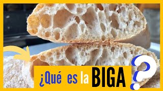 Que es la BIGA ¿Y Como se utiliza Para un pan SUPER ALVEOLADO [upl. by Moshe]