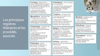 Les registres ou tonalités littéraires et les procédés associés  8 minutes pour tout comprendre [upl. by Joslyn618]