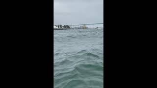 Pontoon Boat Takes on Water in Choppy San Diego Bay shorts [upl. by Kulsrud]