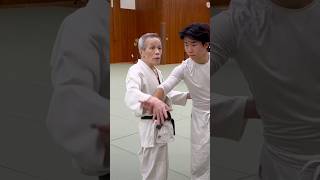 入り身投げIriminageaikido aikidotechniques martialarts 武術 武道 budo [upl. by Perrie]