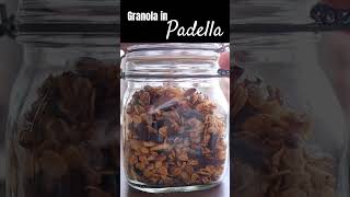 GRANOLA FATTA in CASA SENZA FORNO SENZA GLUTINE LATTICINI e UOVA  Con avena e cioccolato [upl. by Calise96]