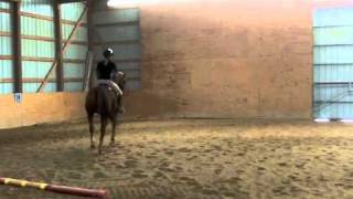 The Basics of Cantering [upl. by Waldman89]