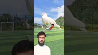 Reaction on white eagle statue 3D Special Effects  3D Animation shorts youtubeshorts vfxhd [upl. by Hgieloj]