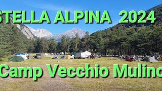 STELLA ALPINA 2024 Camp Vecchio Mulino [upl. by Ancelin28]