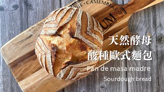 Pan de Masa Madre  Crujiente por fuera suave por dentro [upl. by Loreen826]