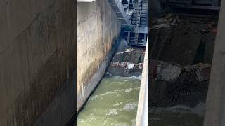 Dam undersluice gates opening [upl. by Jennee35]