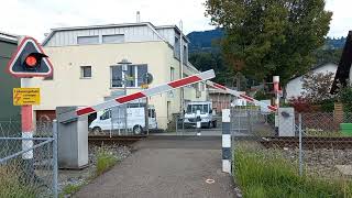 Bahnübergang Freienbach CH  Swiss Railroad Crossing [upl. by Lovash]