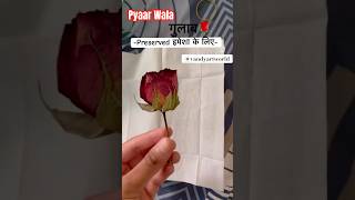 Preserve ur ROSE In Resin✨art resin shorts diy resinart resintutorial youtubeshorts trending [upl. by Keheley]